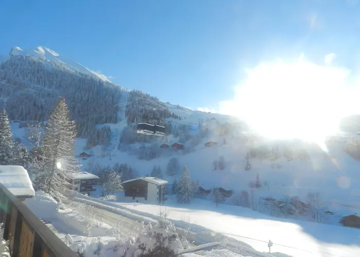 Chalet-Hotel Du Borderan