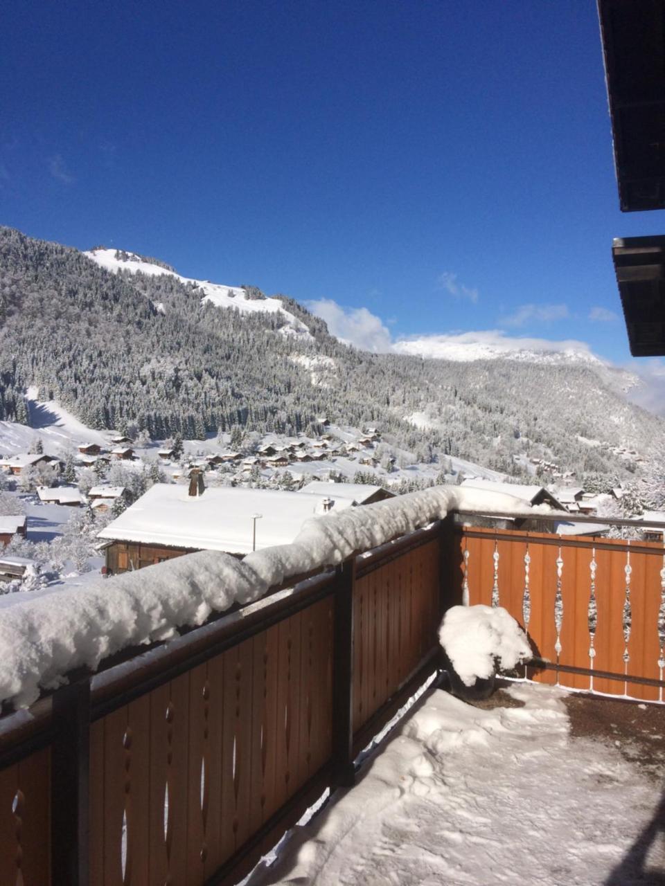 Chalet-hotel Du Borderan 3*