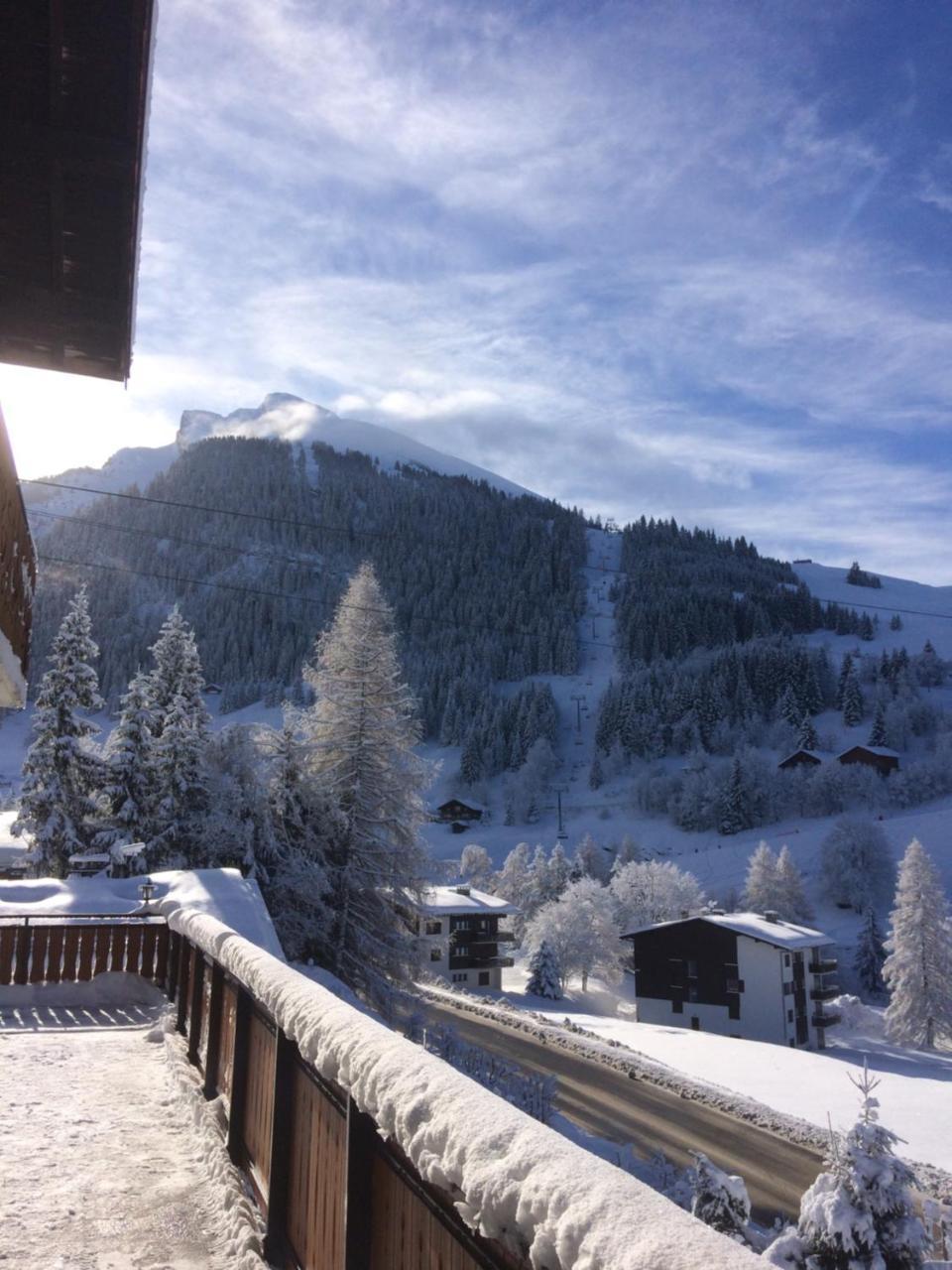 Hotel Chalet-hotel Du Borderan